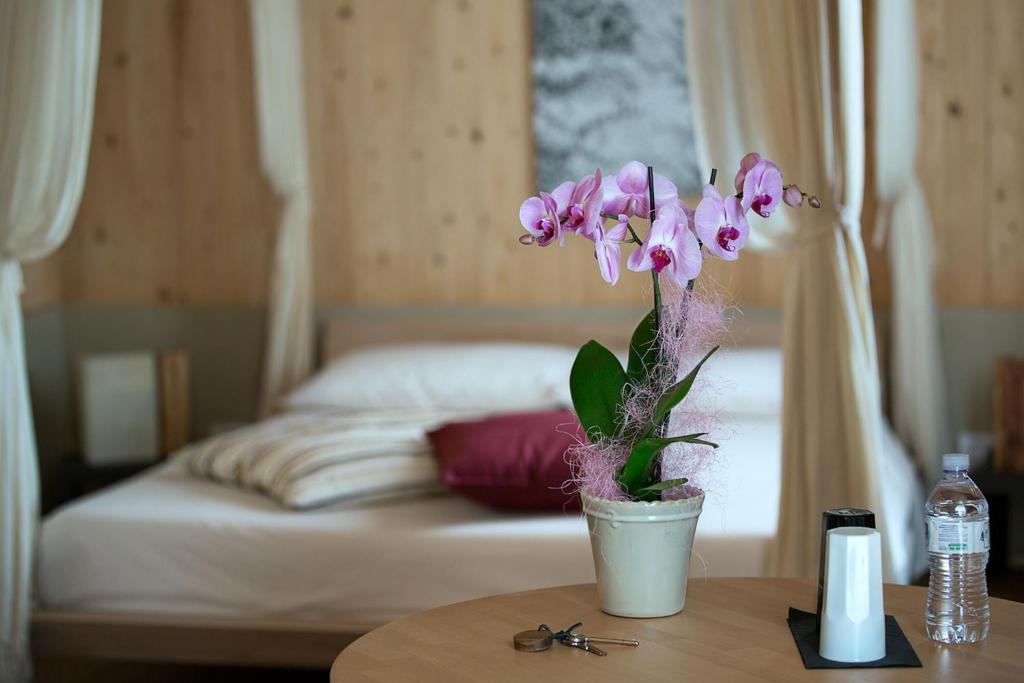 Hotel Il Geco In Arena Werona Pokój zdjęcie